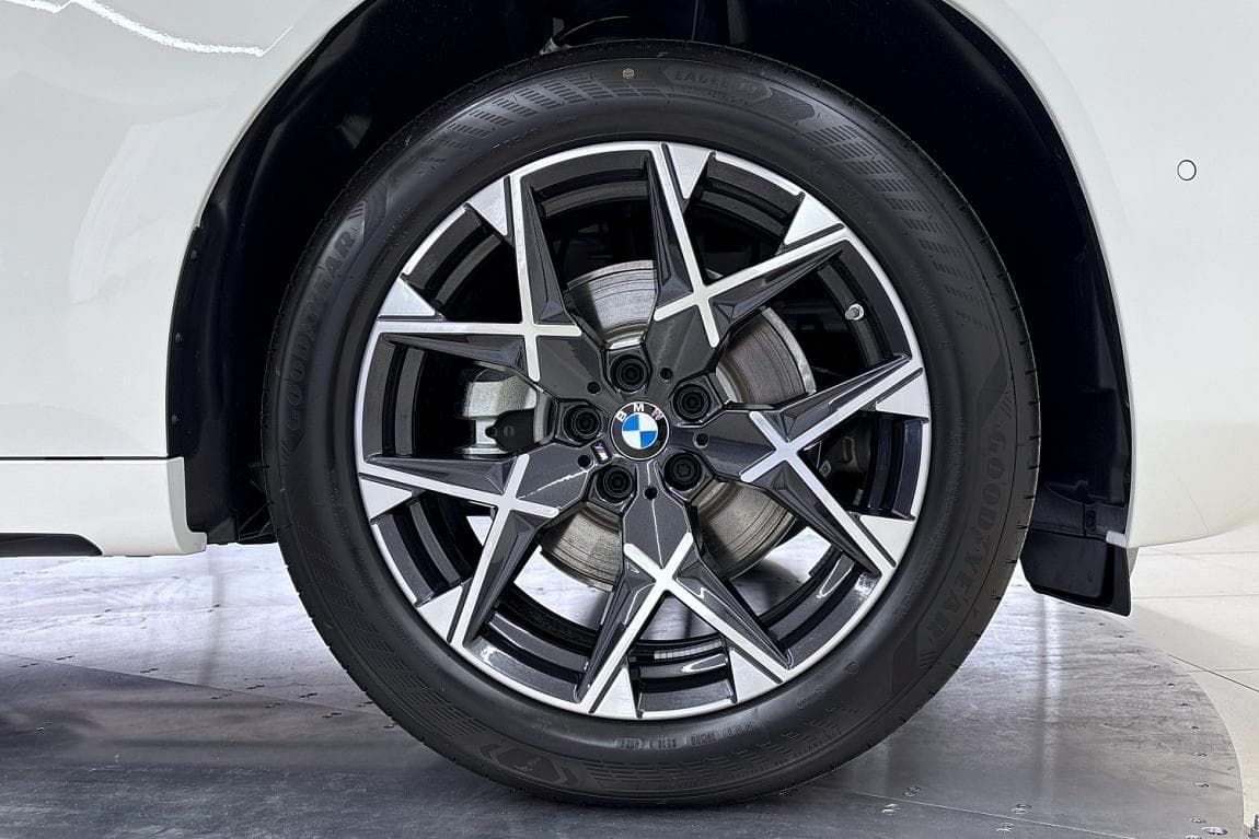 2025 BMW X3 - 6