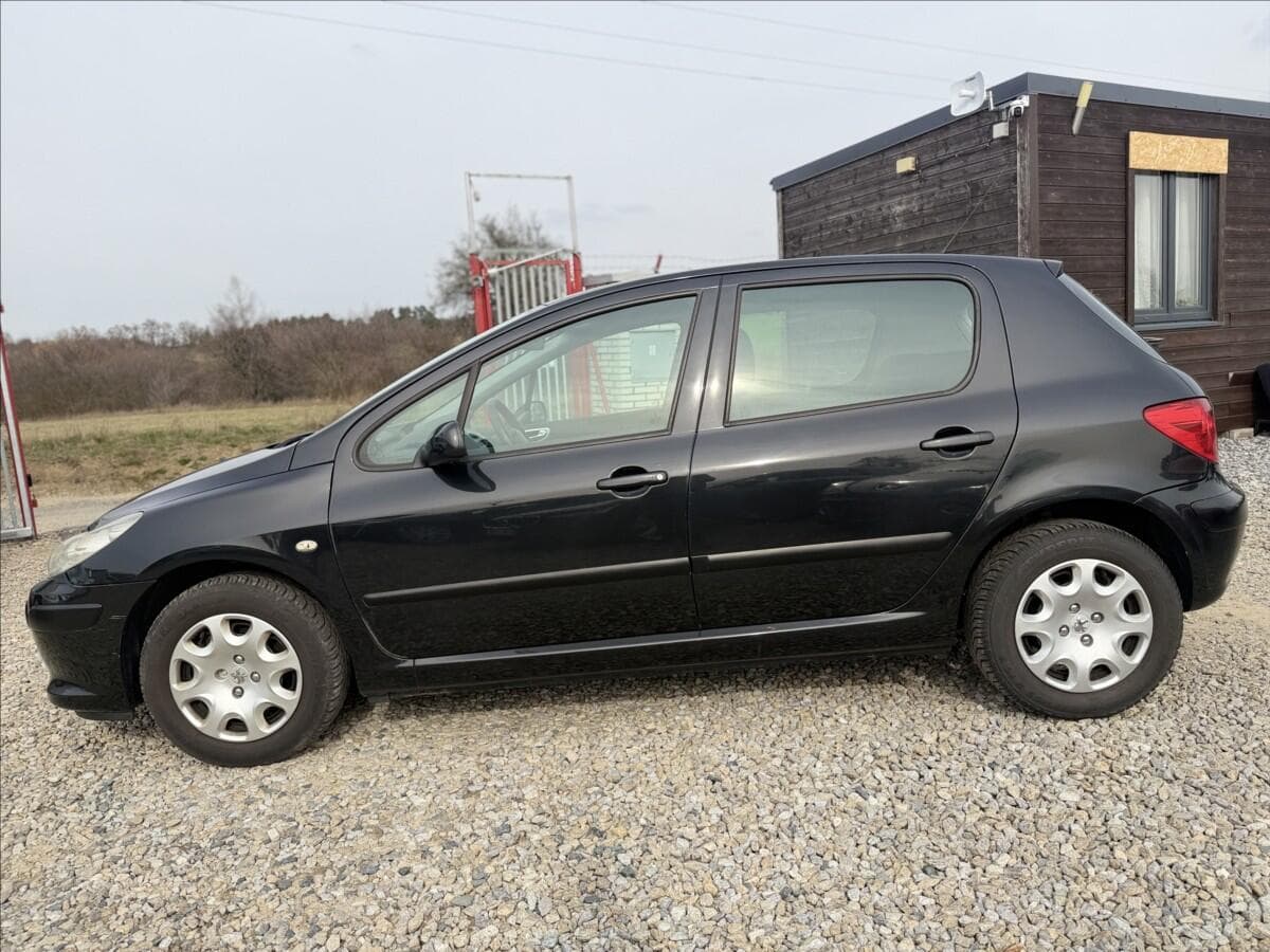 2006 Peugeot 307 - 8