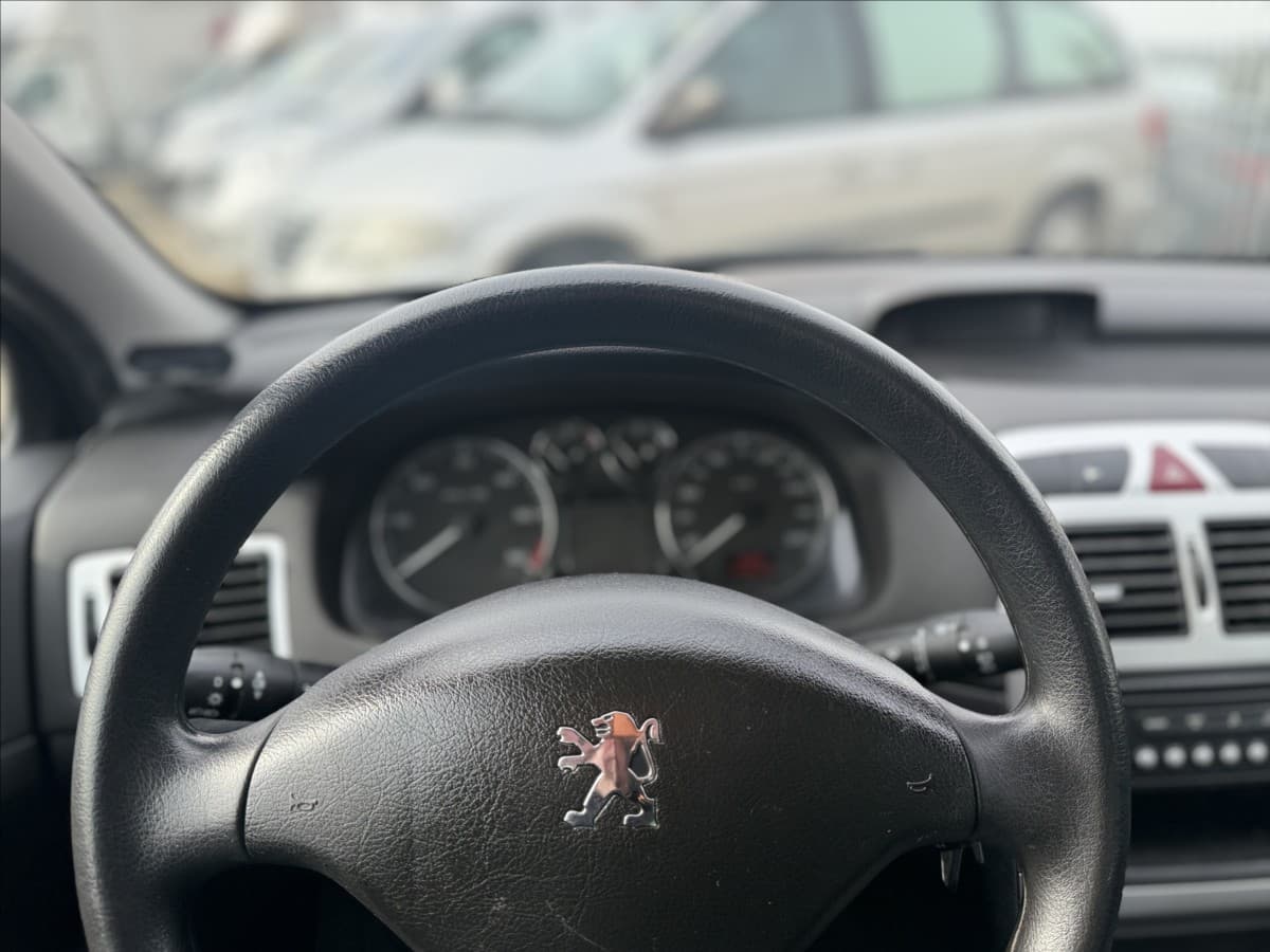 2006 Peugeot 307 - 10