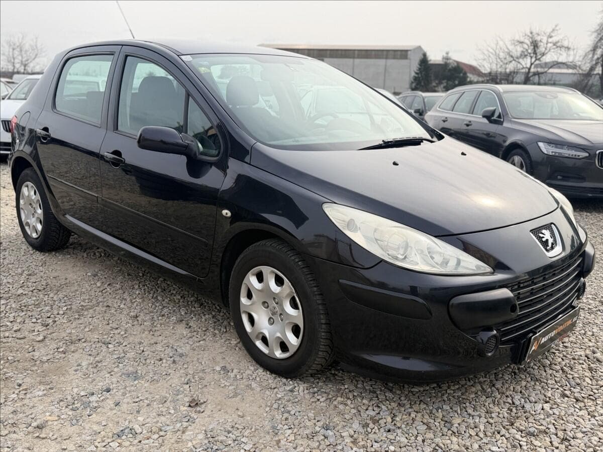 2006 Peugeot 307 - 3