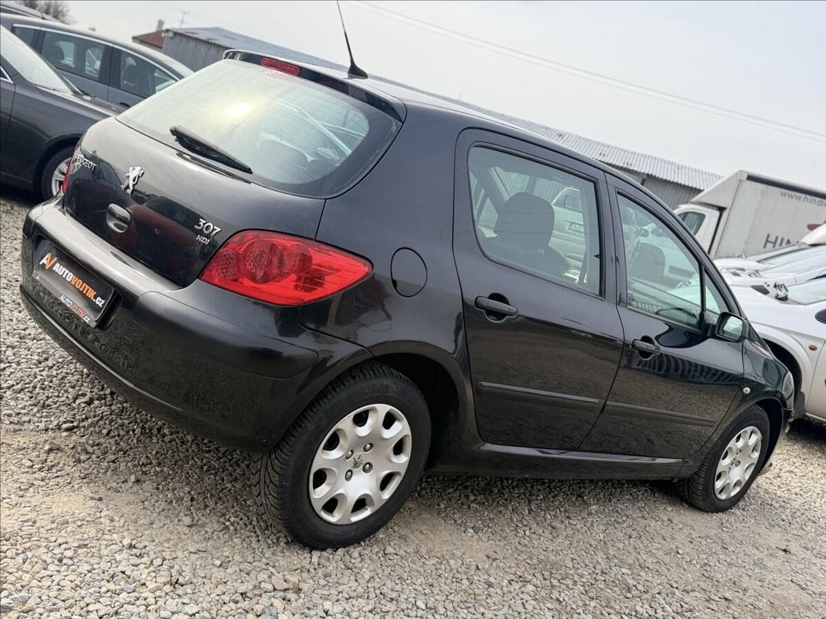 2006 Peugeot 307 - 5