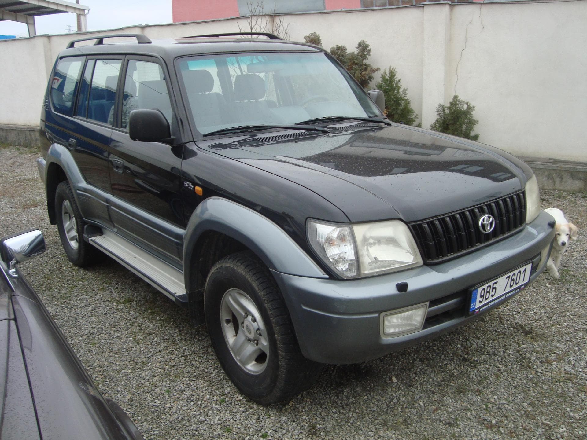 Toyota LAND CRUISER - 2