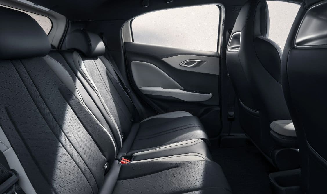 BYD DOLPHIN - 10