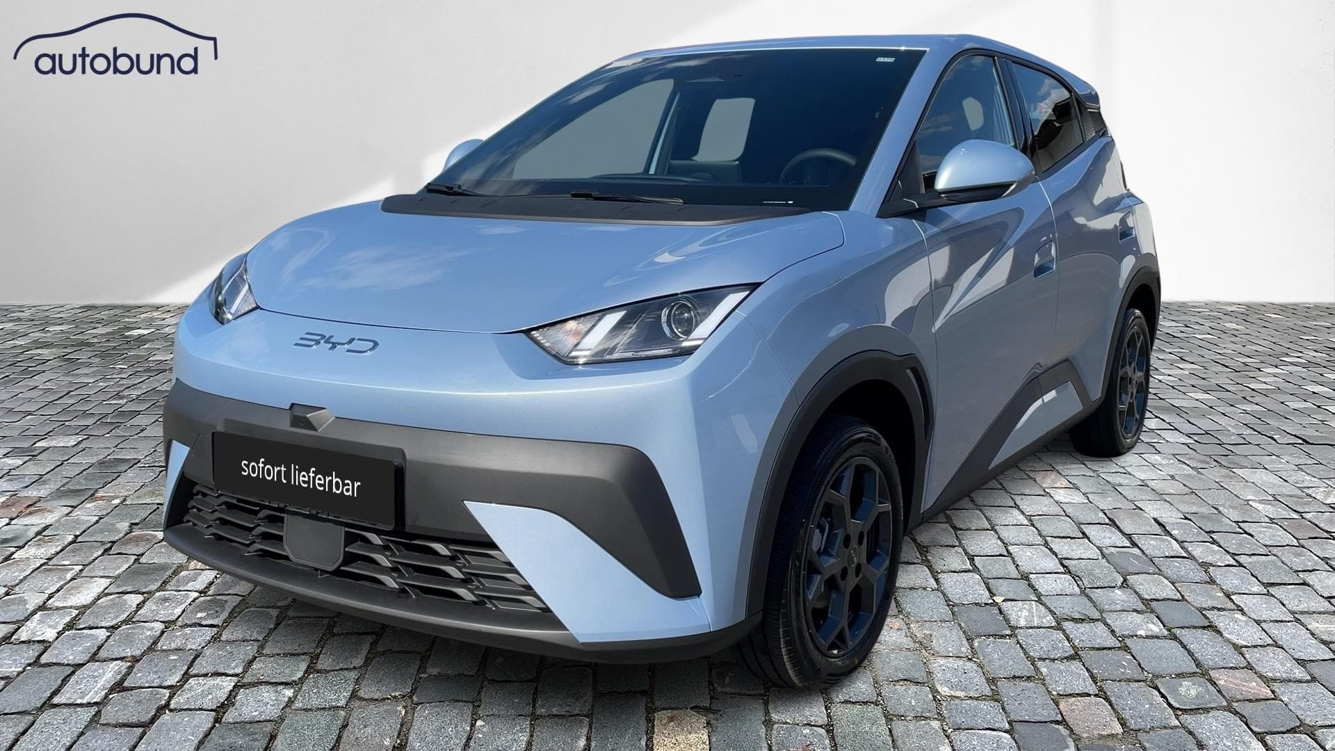 2025 BYD DOLPHIN