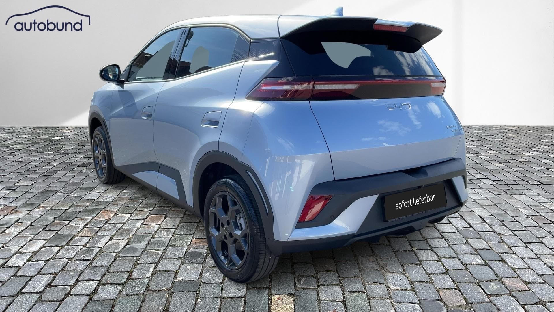 2025 BYD DOLPHIN - 2