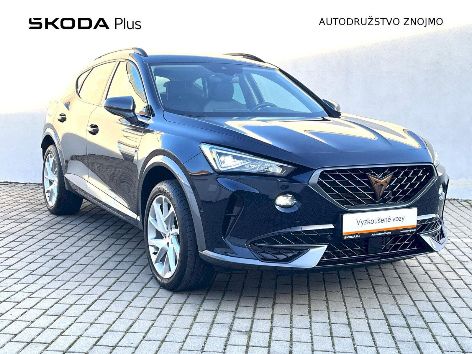Cupra FORMENTOR - 9