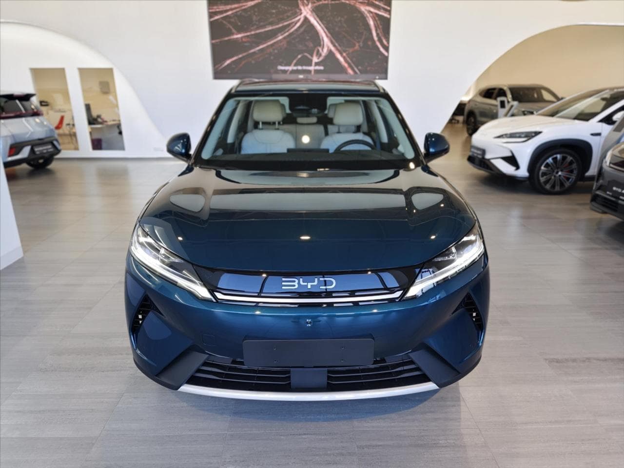 2026 BYD ATTO - 6