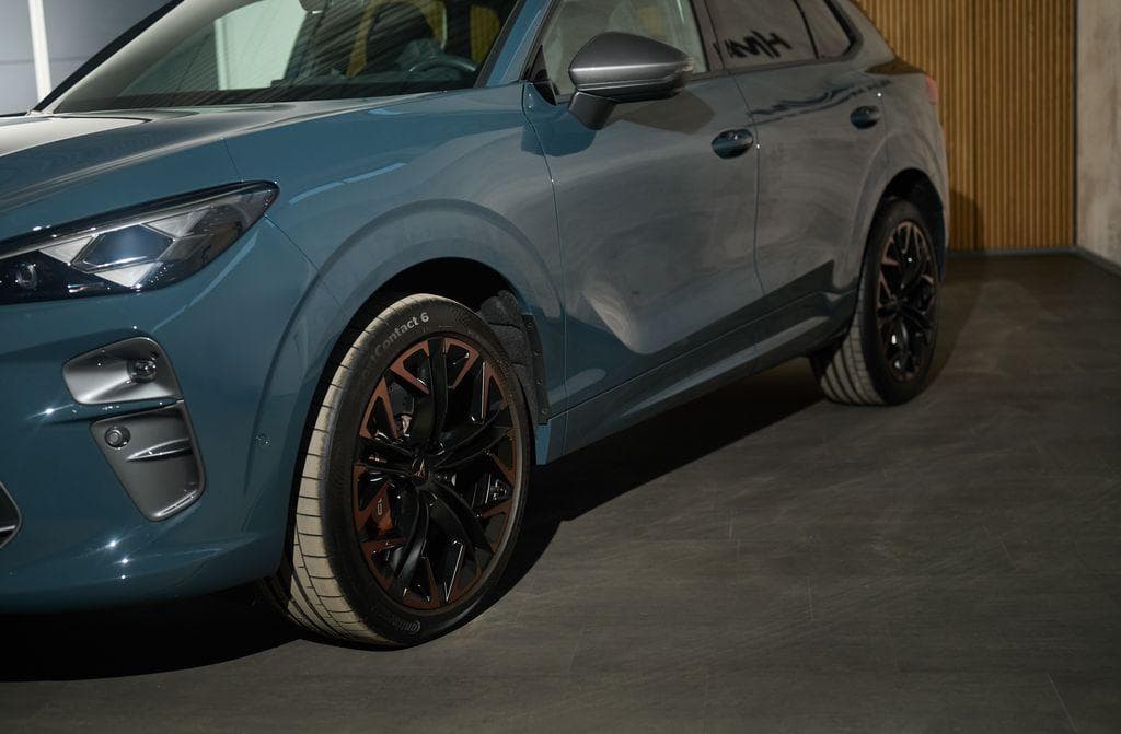 2025 Cupra OSTATNÍ - 3