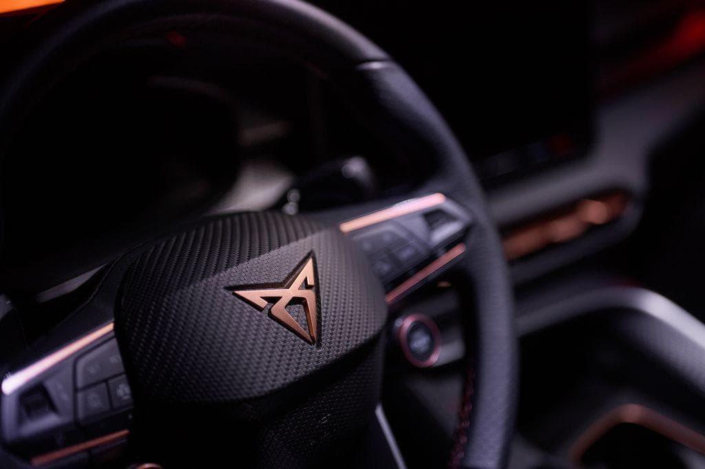 2025 Cupra OSTATNÍ - 19