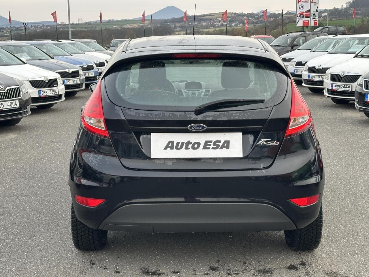 2009 Ford FIESTA - 5