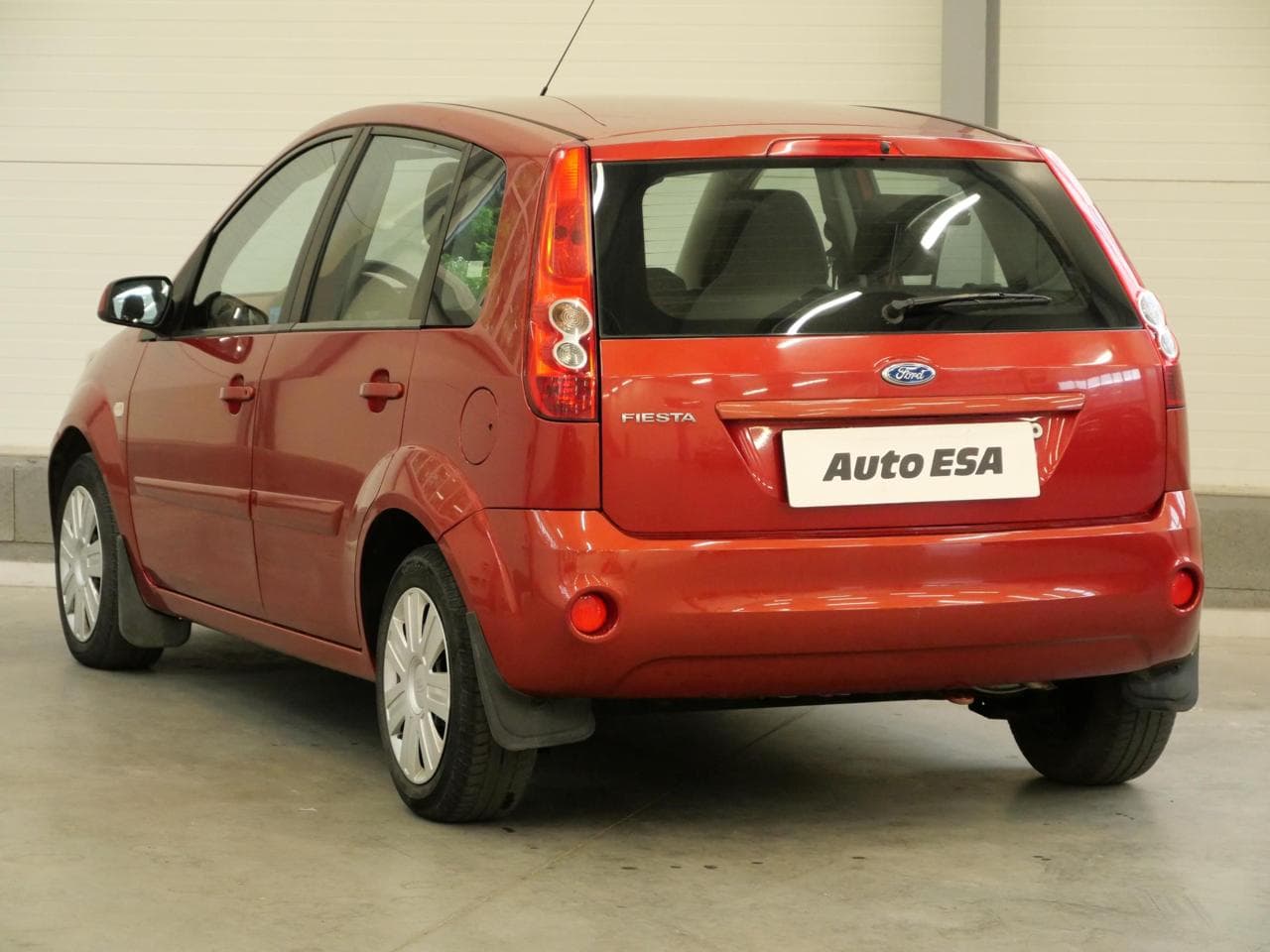 2008 Ford FIESTA - 6