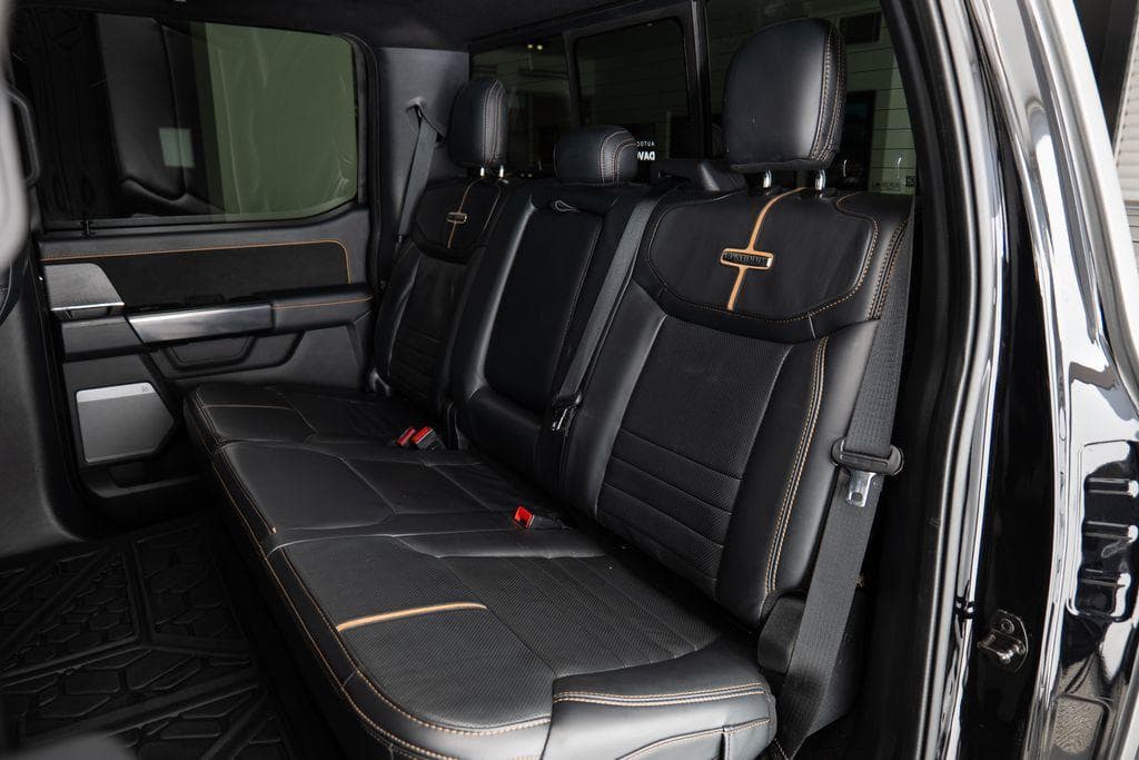 Ford F-150 - 10