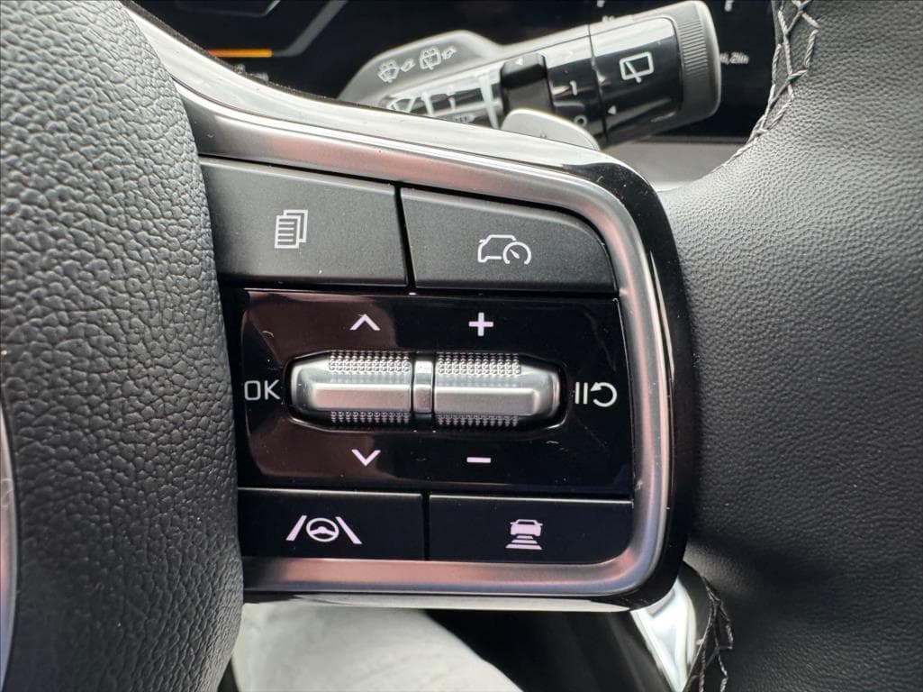 2025 Kia SORENTO - 14