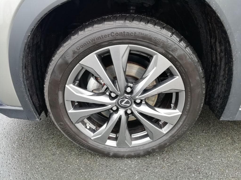 2023 Lexus Ostatní - 18