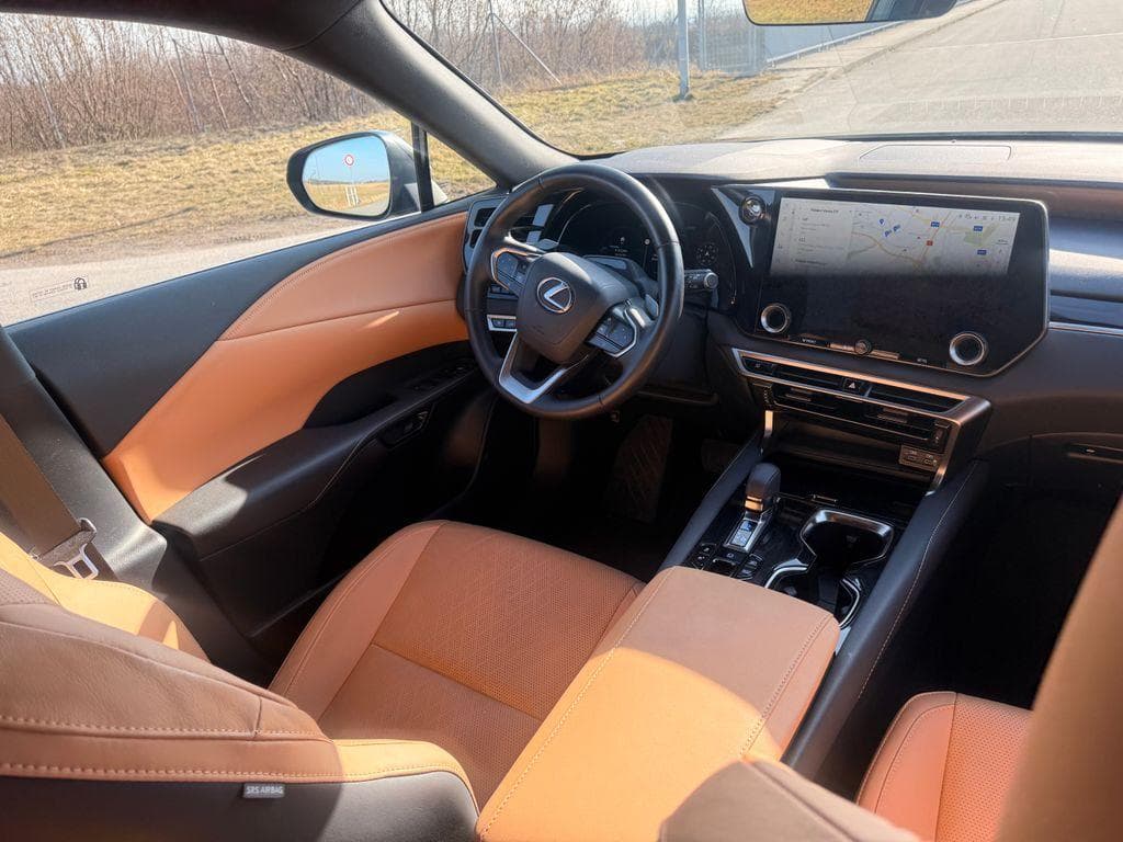 2025 Lexus Rx - 17