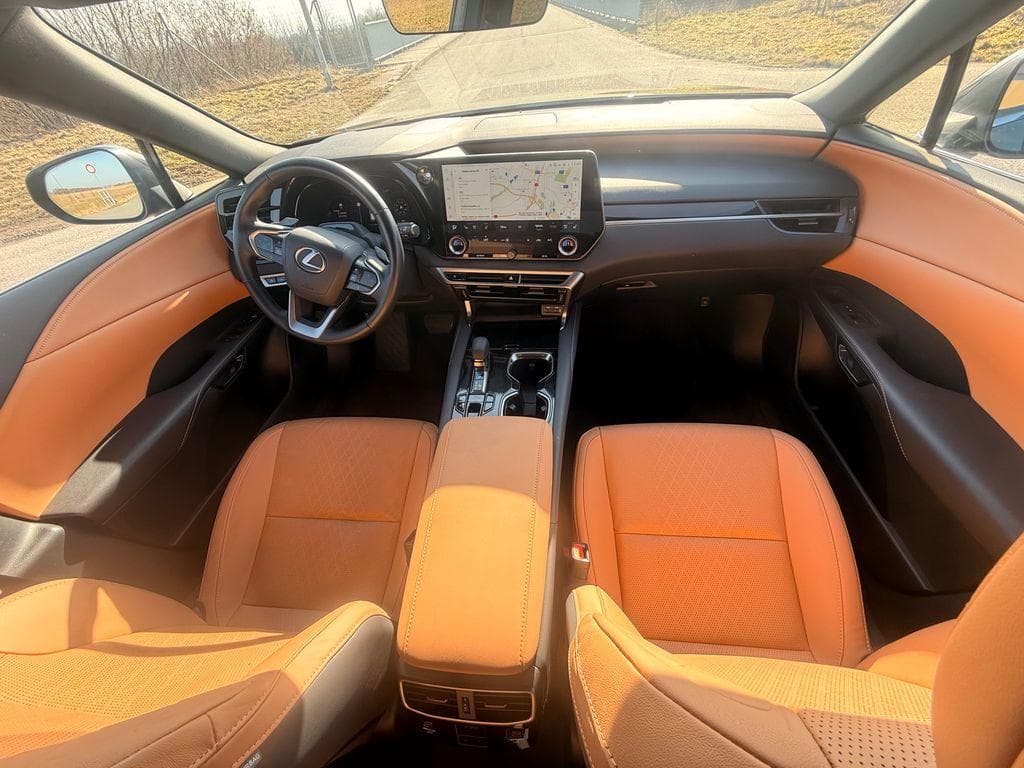 2025 Lexus RX - 14