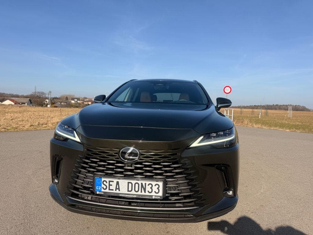 2025 Lexus RX - 8