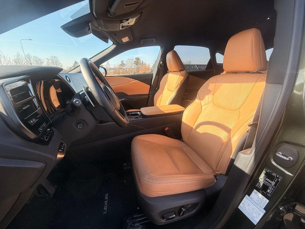 2025 Lexus RX - 19