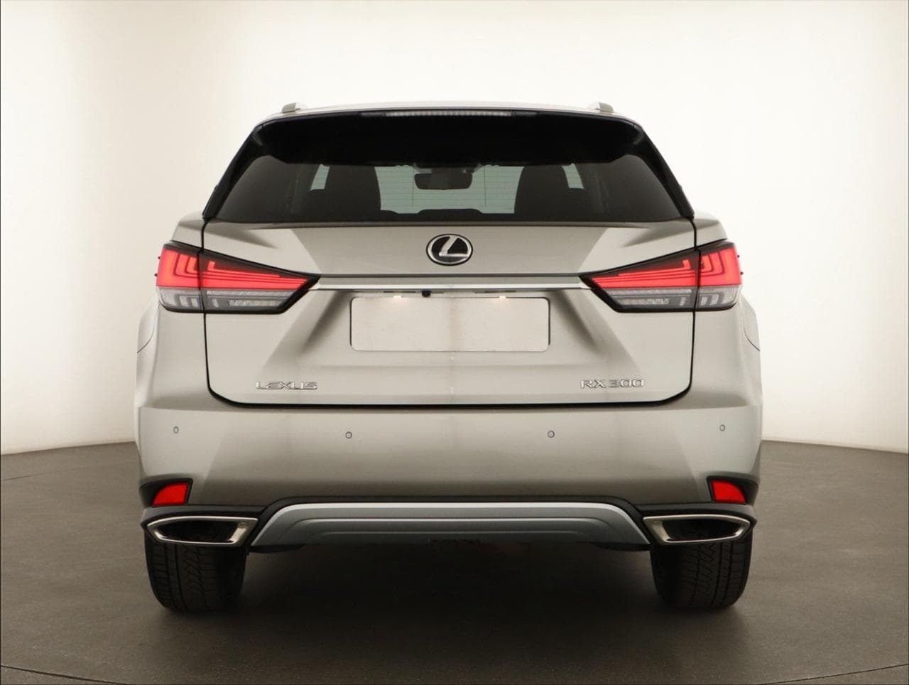 2023 Lexus RX - 6