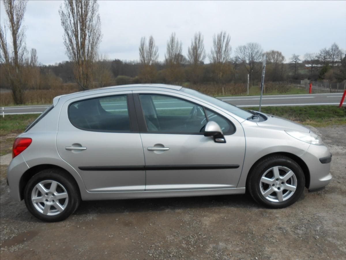 2007 Peugeot 207 - 5
