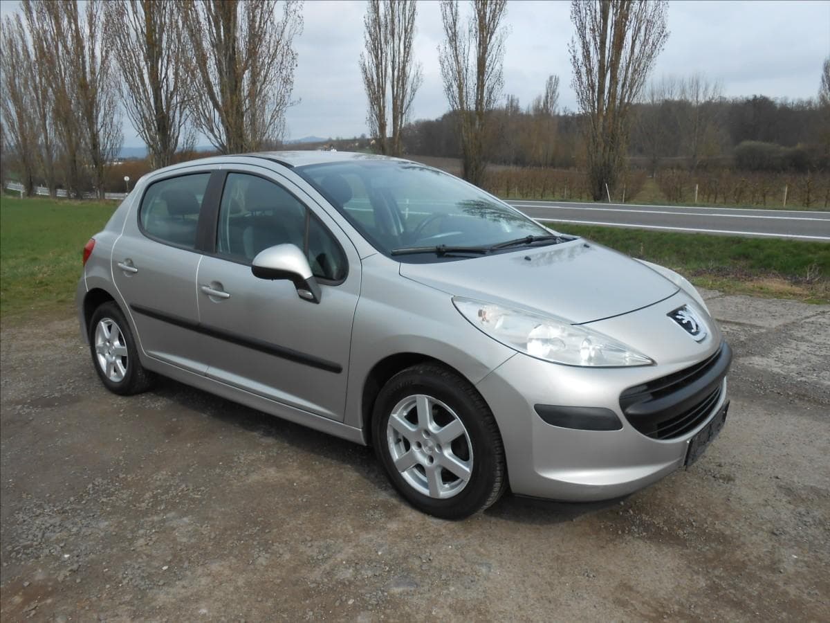 2007 Peugeot 207 - 4