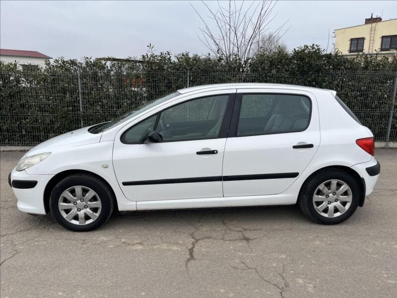 2007 Peugeot 307 - 4
