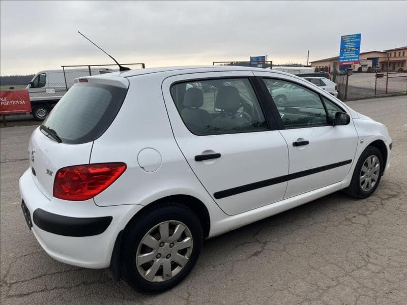 2007 Peugeot 307 - 5