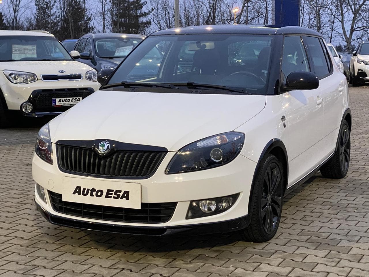 2013 Škoda FABIA - 3