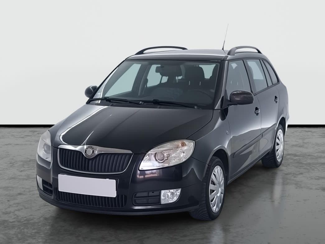 2010 Škoda FABIA - 3