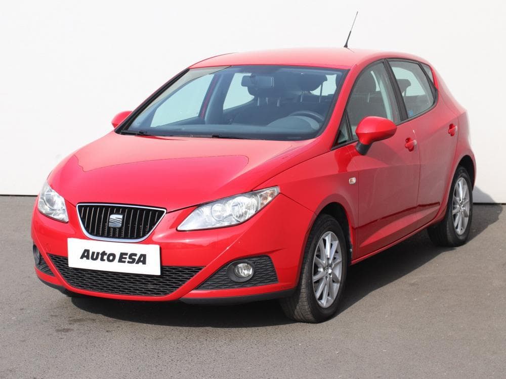 2011 Seat Ibiza - 5