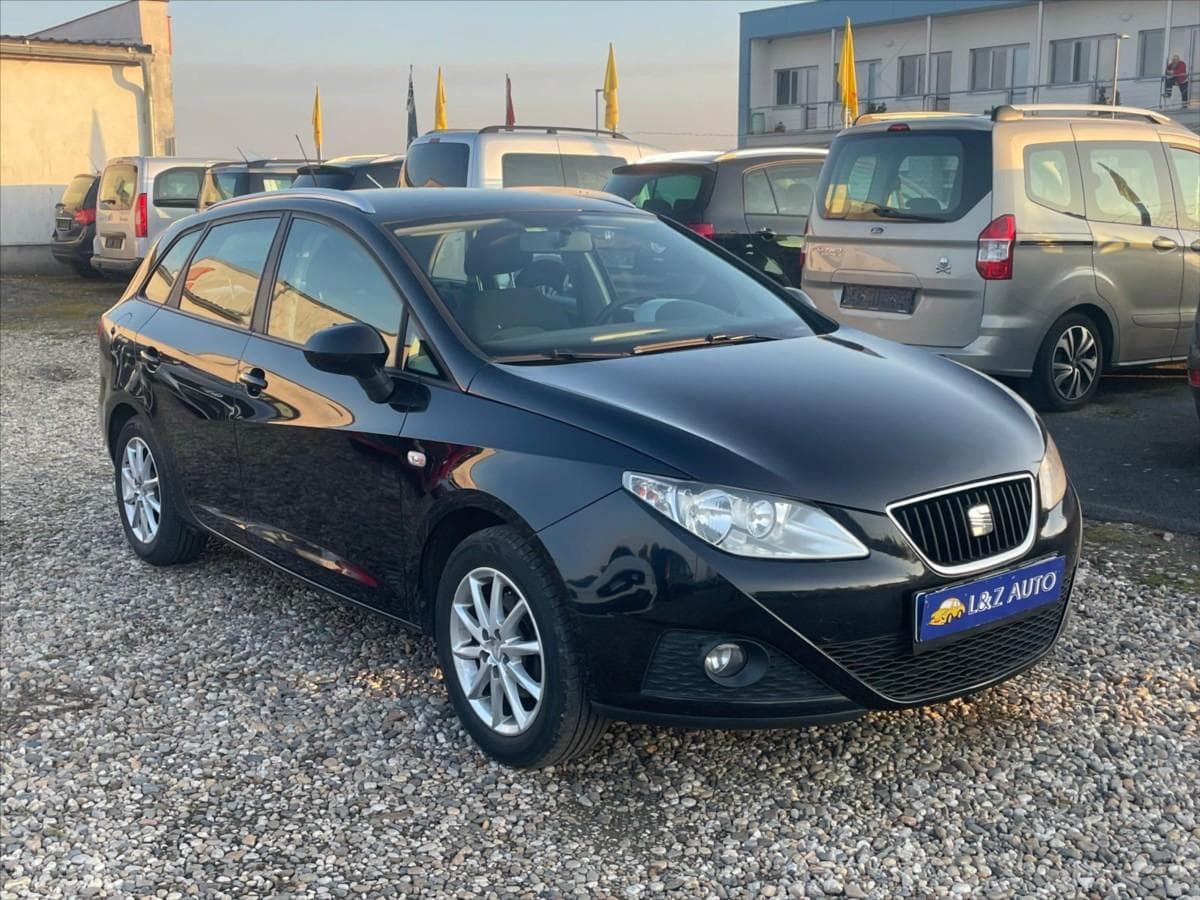 2010 Seat Ibiza - 2