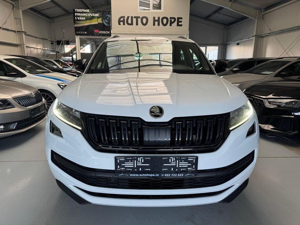 2019 Škoda KODIAQ - 2