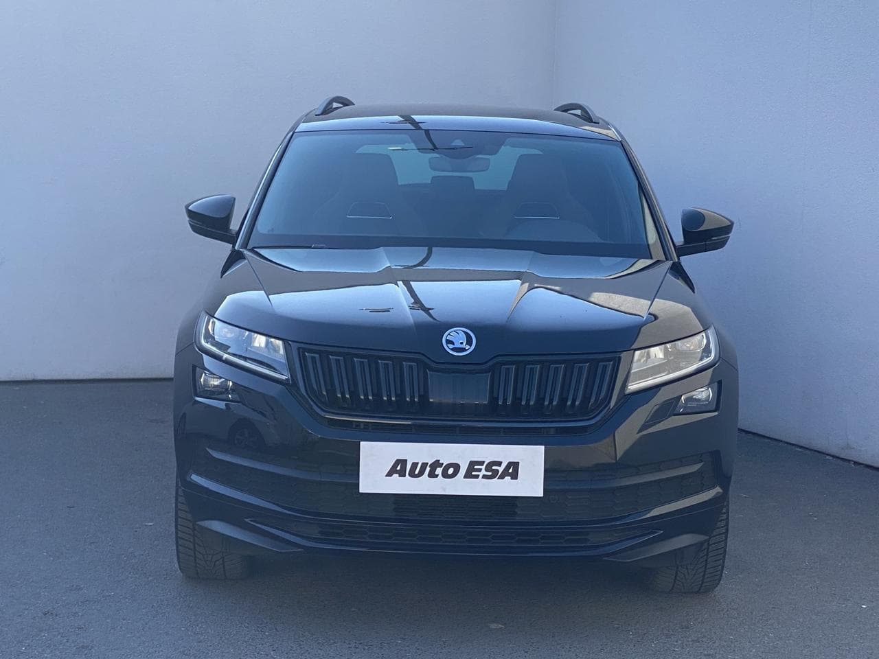 2019 Škoda KODIAQ - 2