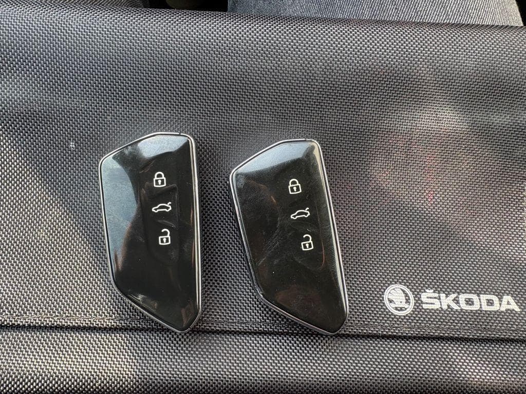 2020 Škoda Octavia - 17