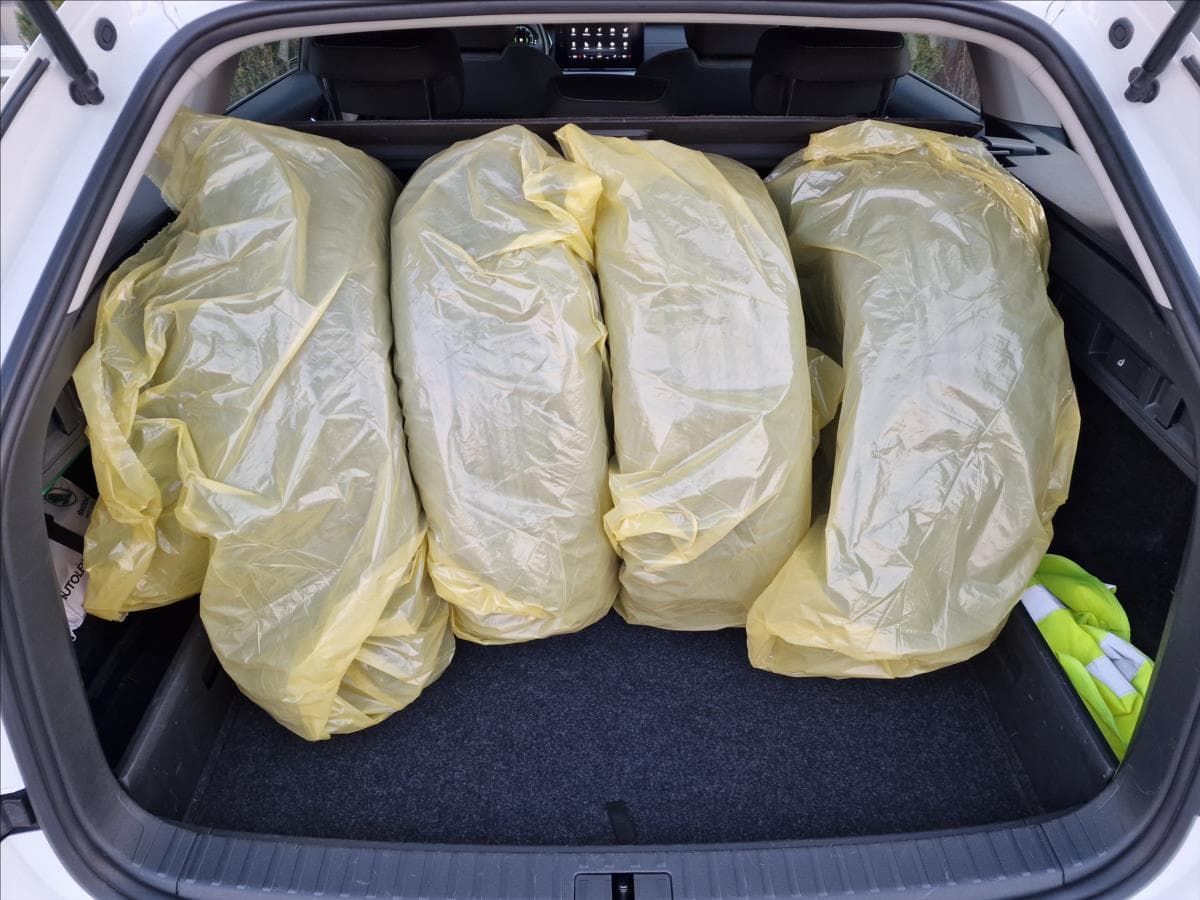 2020 Škoda Octavia - 15