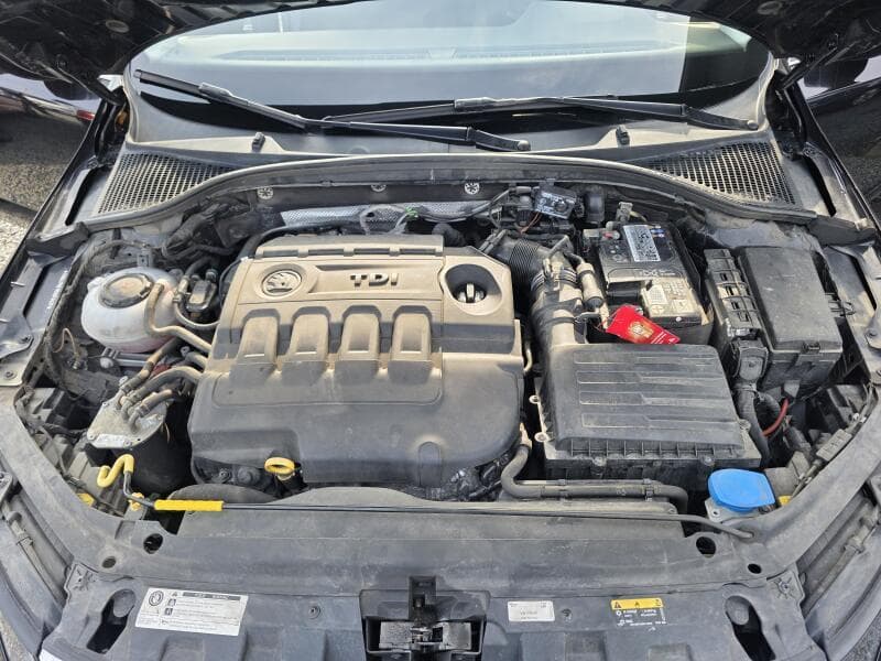 2019 Škoda Octavia - 8