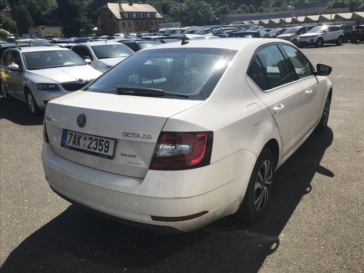 2019 Škoda OCTAVIA - 4