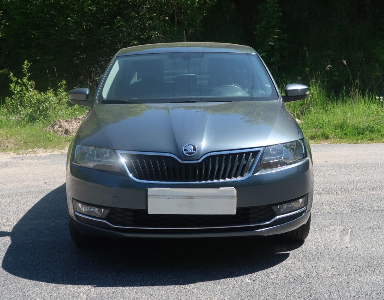 2019 Škoda RAPID - 2