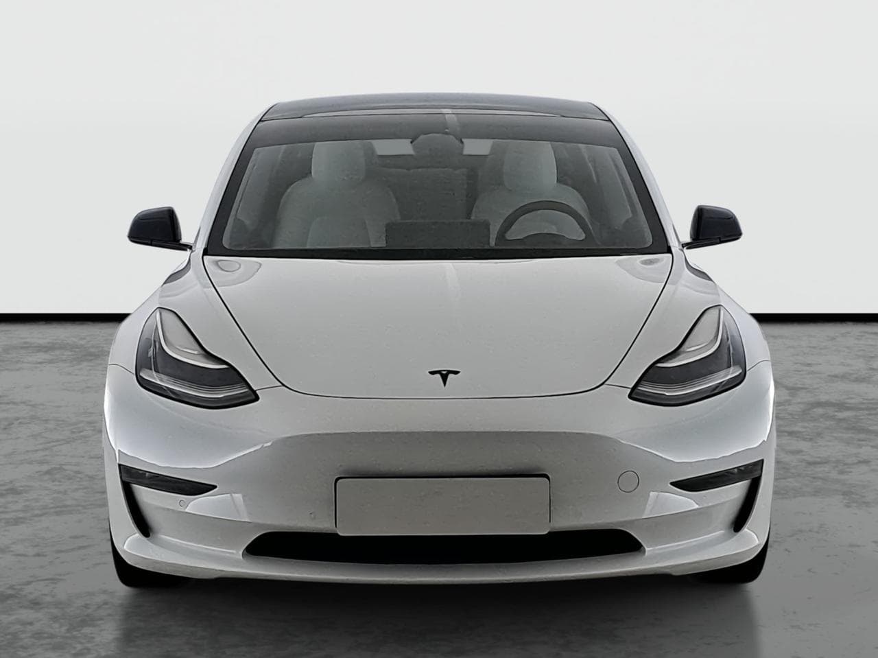 2019 Tesla MODEL 3 - 2