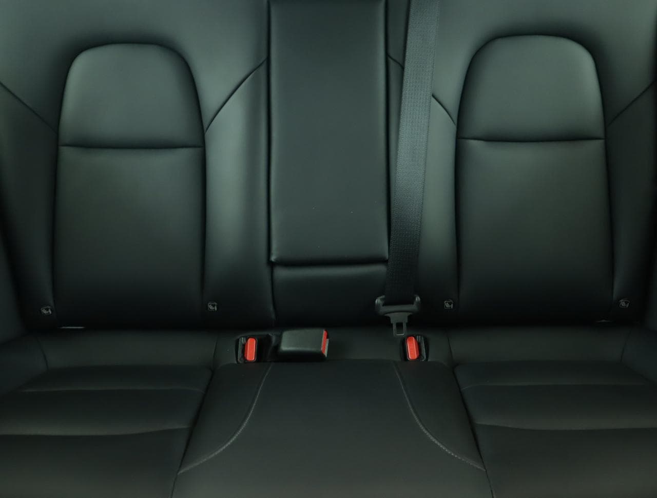 2021 Tesla MODEL 3 - 14
