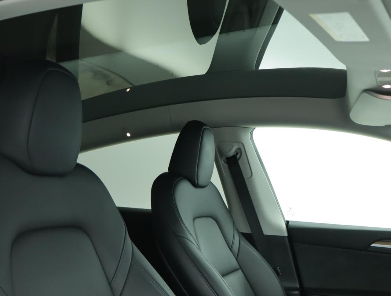 2023 Tesla MODEL Y - 19