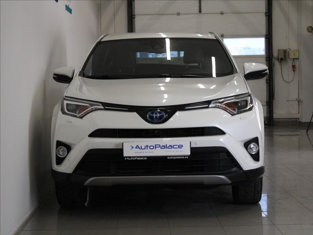 2019 Toyota RAV4 - 2