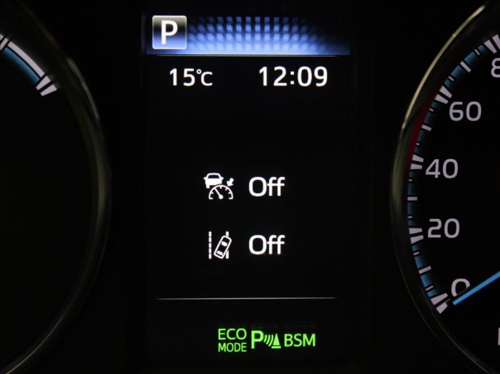 2019 Toyota RAV4 - 12