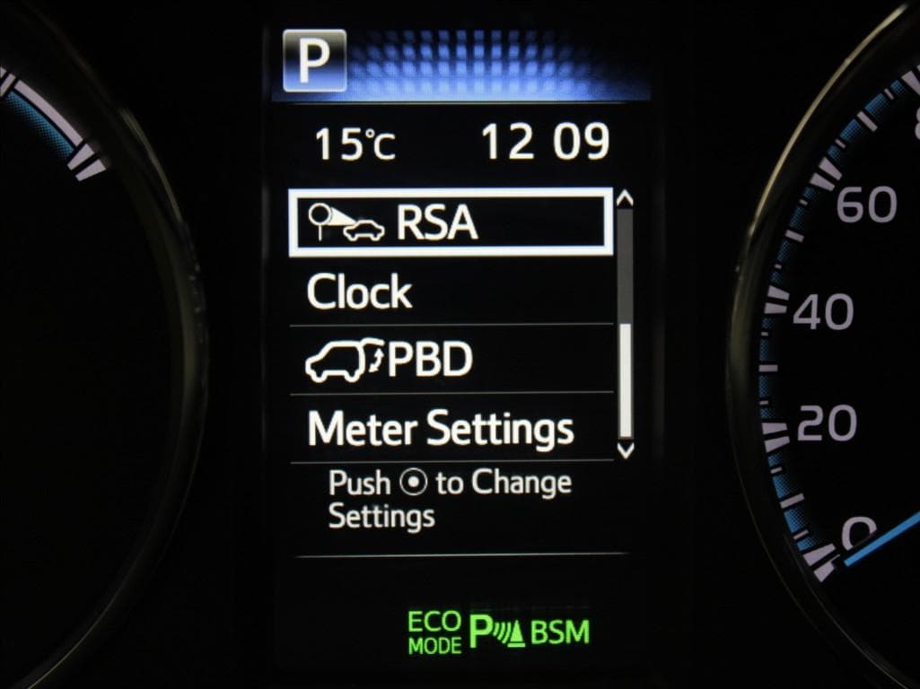2019 Toyota RAV4 - 10