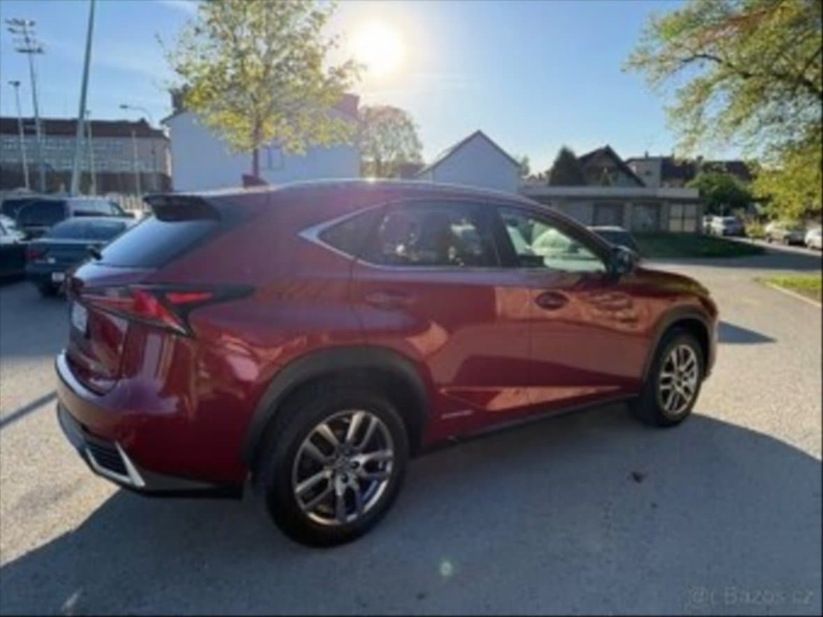2018 Lexus NX - 19
