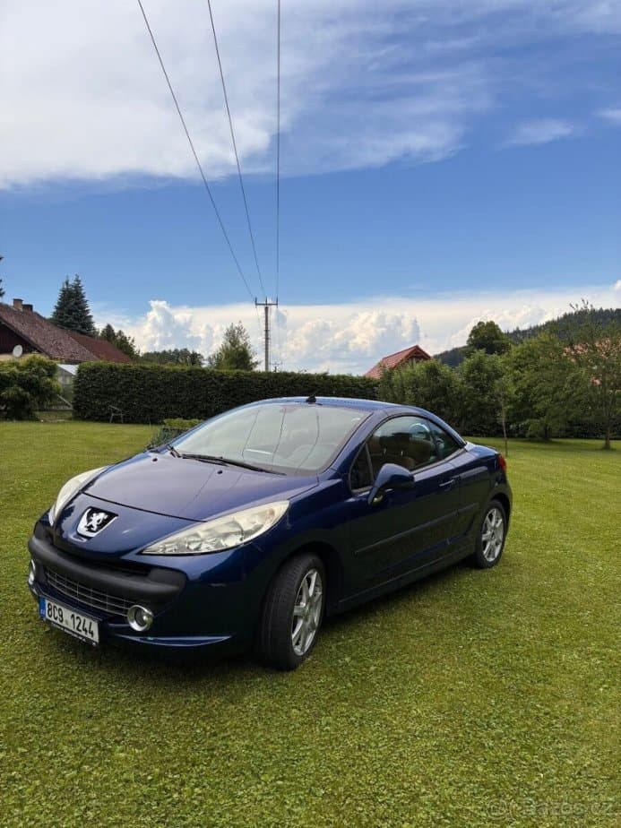 Peugeot 207 - 3