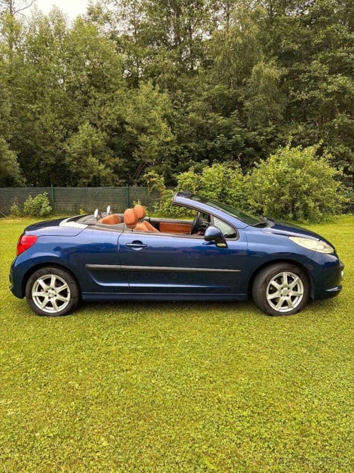 Peugeot 207 - 4