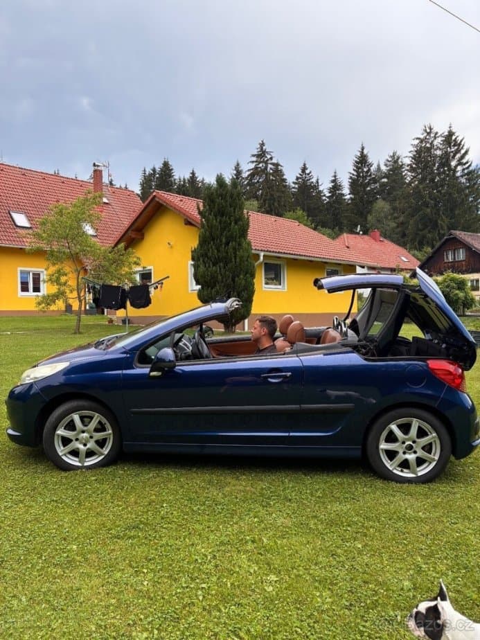 Peugeot 207 - 11