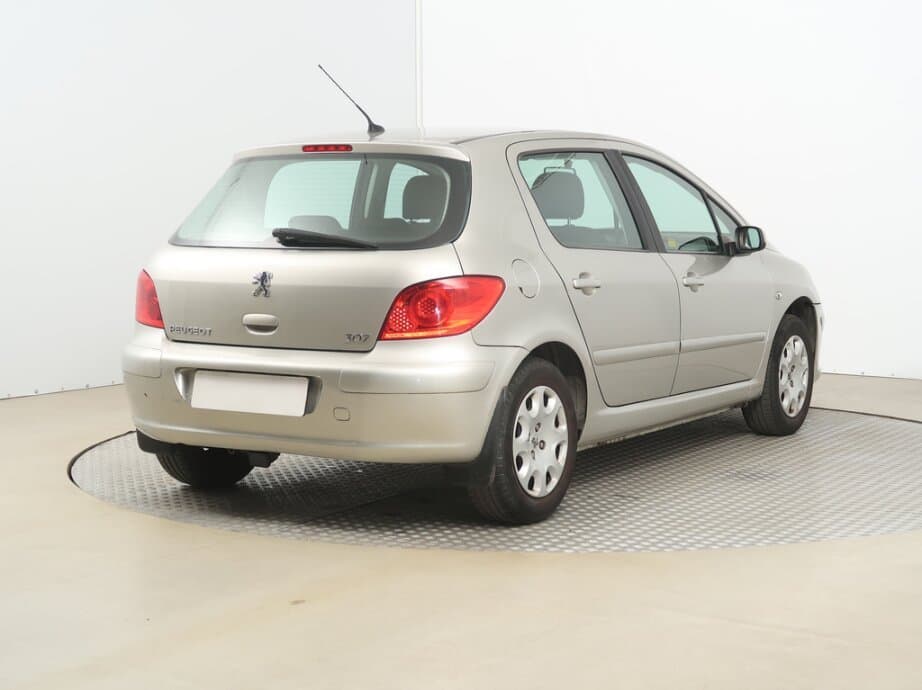 2007 Peugeot 307 - 7