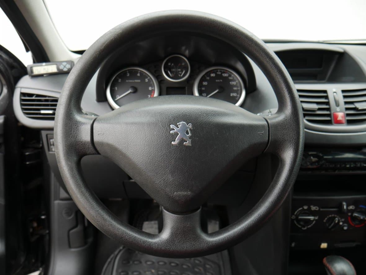 2007 Peugeot 207 - 14